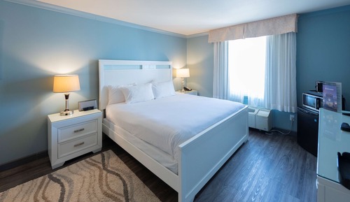 Standard Room, 1 King Bed, Non Smoking