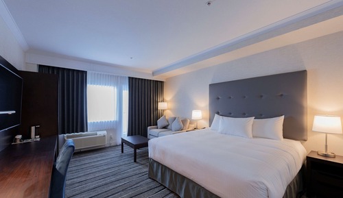 Executive Suite, 1 King Bed with Sofa bed, Non Smoking, Kitchen (with Sofabed)