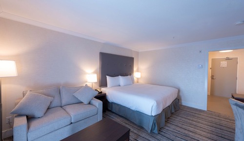 Executive Suite, 1 King Bed with Sofa bed, Non Smoking, Balcony (with Sofabed)