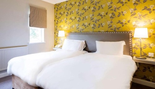 Executive Twin Room, Non Smoking