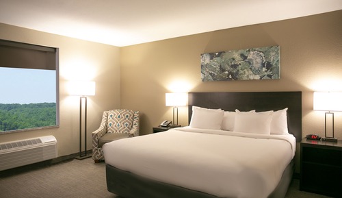 Deluxe Double Room, 1 King Bed, Accessible, Refrigerator & Microwave