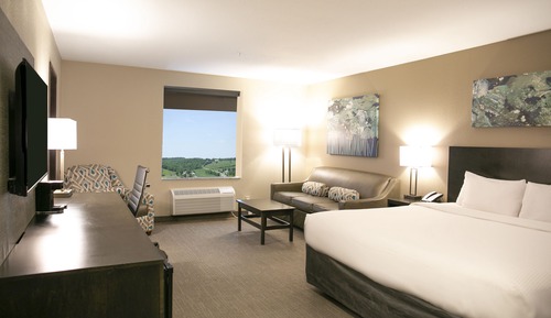 Premium Studio Suite, 1 King Bed with Sofa bed, Jetted Tub