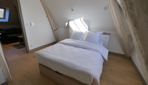 Apartment, 1 Bedroom (Plaqueminier)