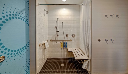 Room, 1 King Bed, Accessible (Roll-In Shower)
