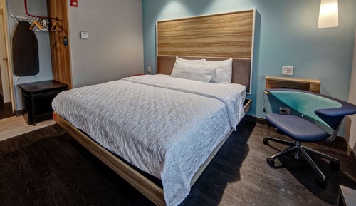 Room, 1 King Bed