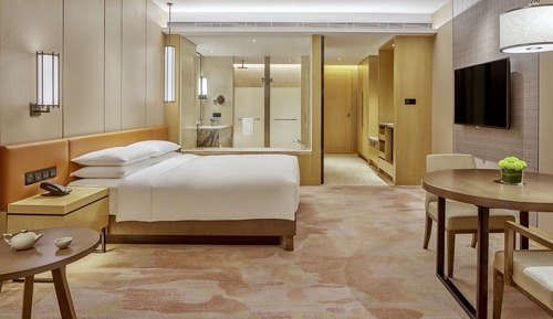 Room, 1 King Bed