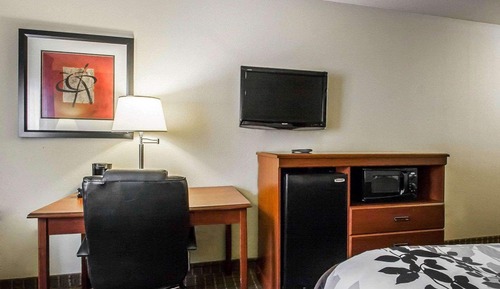 Suite, 1 King Bed with Sofa bed, Non Smoking