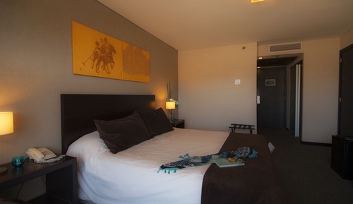 Standard Double Room, 1 King Bed