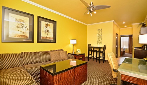 Suite, 1 King Bed, Non Smoking, Refrigerator & Microwave (with Sofabed)