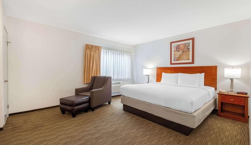 Standard Room, 1 King Bed, Accessible Roll-In Shower, Non Smoking
