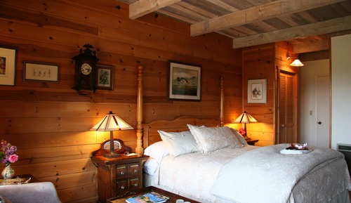 Executive Room, 1 King Bed, Non Smoking, Garden View