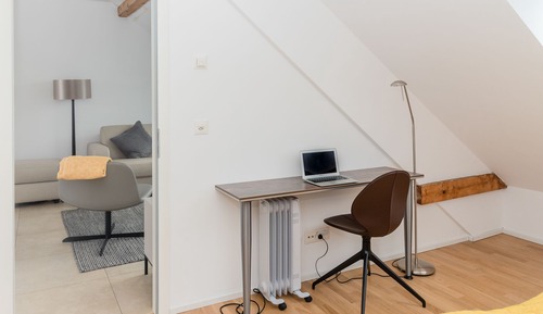 Deluxe Apartment, 1 Bedroom, Kitchen (incl. cleaning fee of 120 CHF)