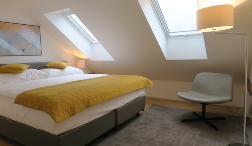 Superior Apartment, 1 Bedroom, Kitchen (incl. cleaning fee of 120 CHF)