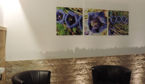 Triple Room, Mountain View (Genziana)