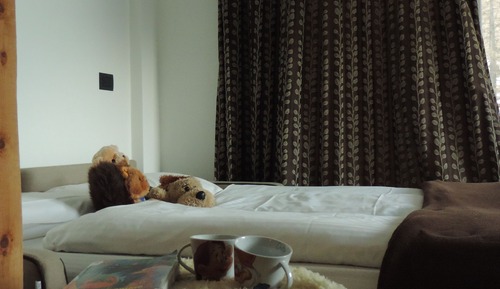 Double Room, 1 Queen Bed, Mountain View (Rododendro)