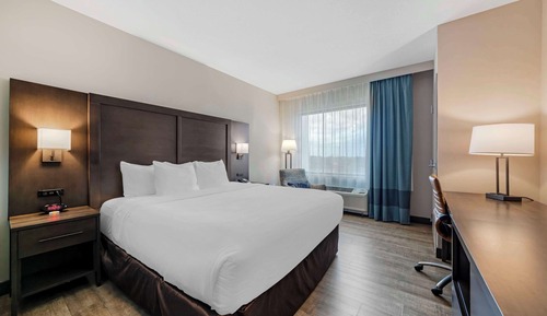 Standard Room, 1 King Bed, Non Smoking