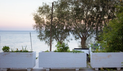 Family Apartment, Beach View