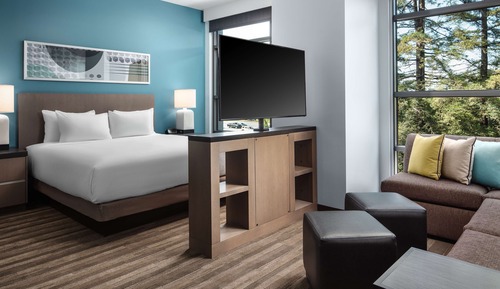 Studio Suite, Kitchen (1 Kingbed & 1 Sofabed, Shower)