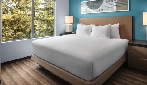 Room, 1 King Bed