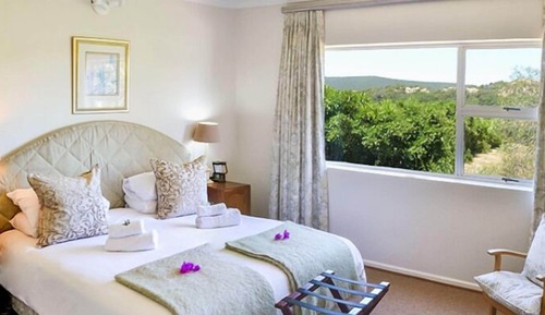 Executive Suite (Fish Eagle)