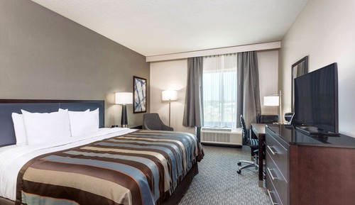 Room, 1 King Bed, Non Smoking