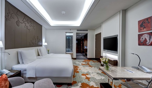 Premium Room