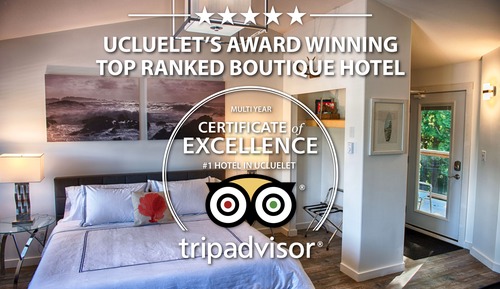 Eco Luxe Harbour View King Suite 2 