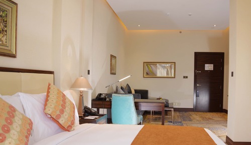 Business Suite, 1 Bedroom