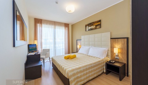 Superior Double or Twin Room