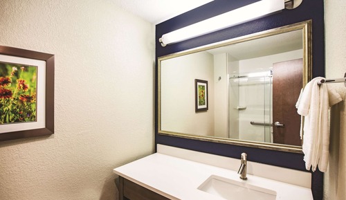 Deluxe Suite, 1 King Bed, Non Smoking (Efficiency)