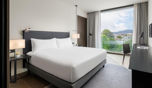 Deluxe Room, 1 King Bed, City View