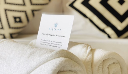 Garden View Bungalow