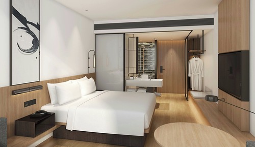 Standard Room, 1 King Bed, City View