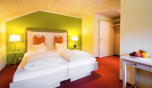 Classic Double Room, Mountain View