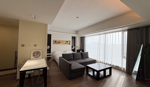 Panoramic Studio Suite