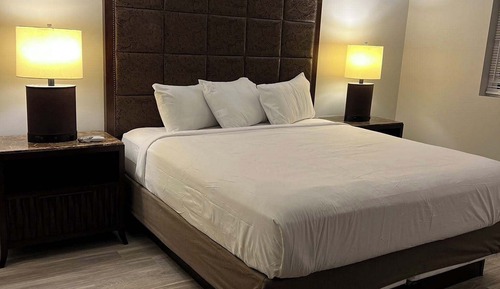 Premium Single Room