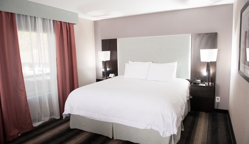 Executive Suite, 1 King Bed