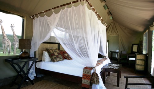 Tented Camps