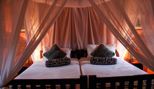 Luxury Safari Suites 6 (Queen Size Bed )