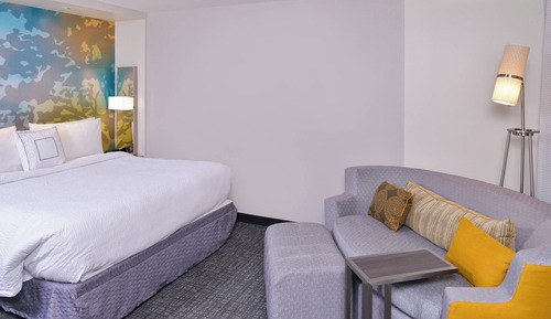 Room, 1 King Bed