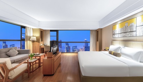Executive Room, City View