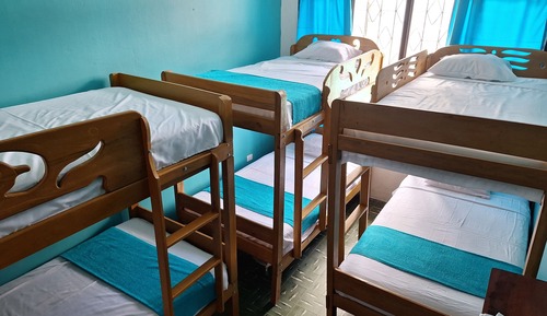 Basic Shared Dormitory, 1 Bedroom, Pool View