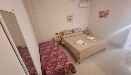 Basic Double Room