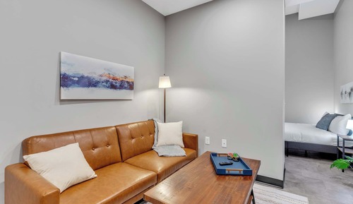 Deluxe Apartment