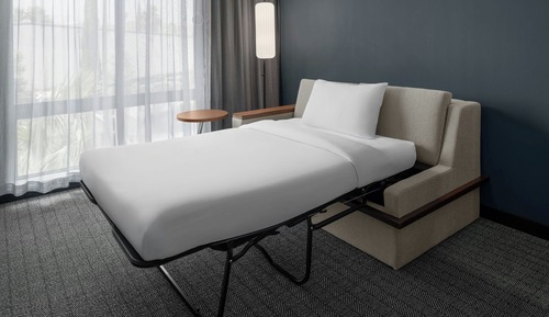 Room, 1 King Bed with Sofa bed (Hearing Accessible)