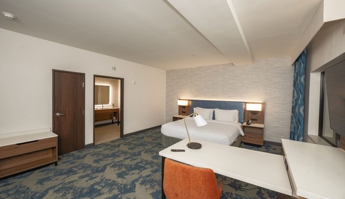 Studio, 1 King Bed, Accessible (Mobility & Hearing, Roll-In Shower)