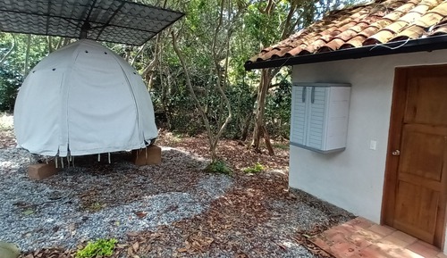 Design Room, Garden View