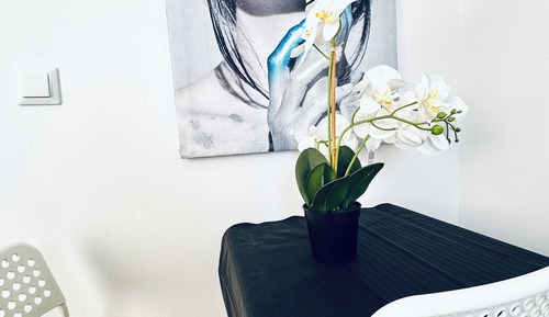 Basic Room, Garden View