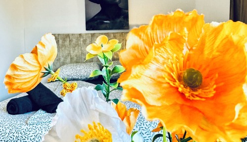 Basic Room, Garden View