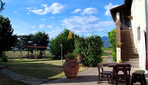 Economy Apartment, 1 King Bed, Patio, Garden View